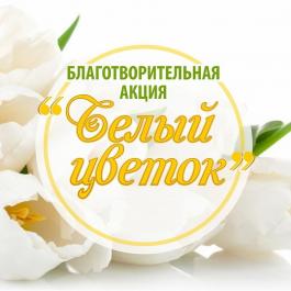 «Белый цветок»:  милосердие, которое объединяет