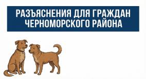 Бешенство   