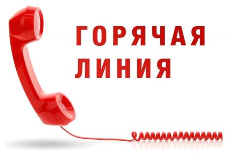 Контактные данные «горячих линий»